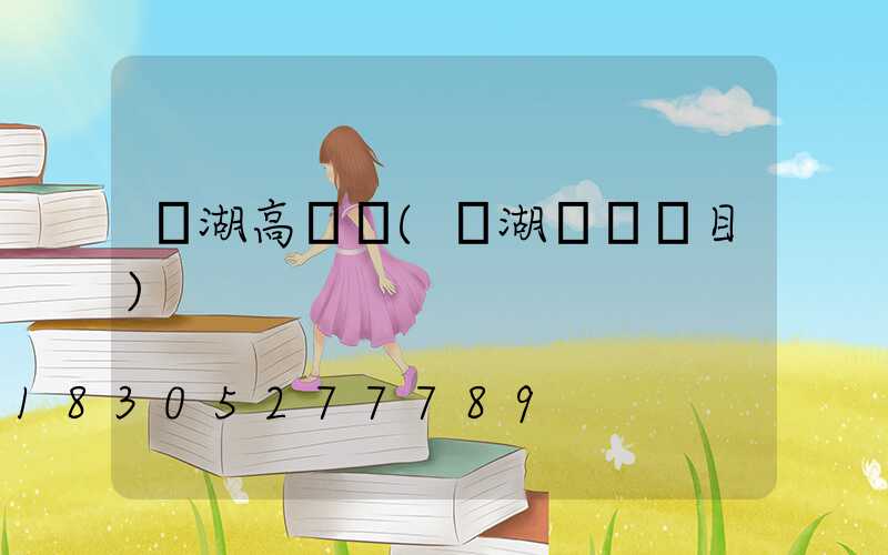 龍湖高桿燈(龍湖標桿項目)